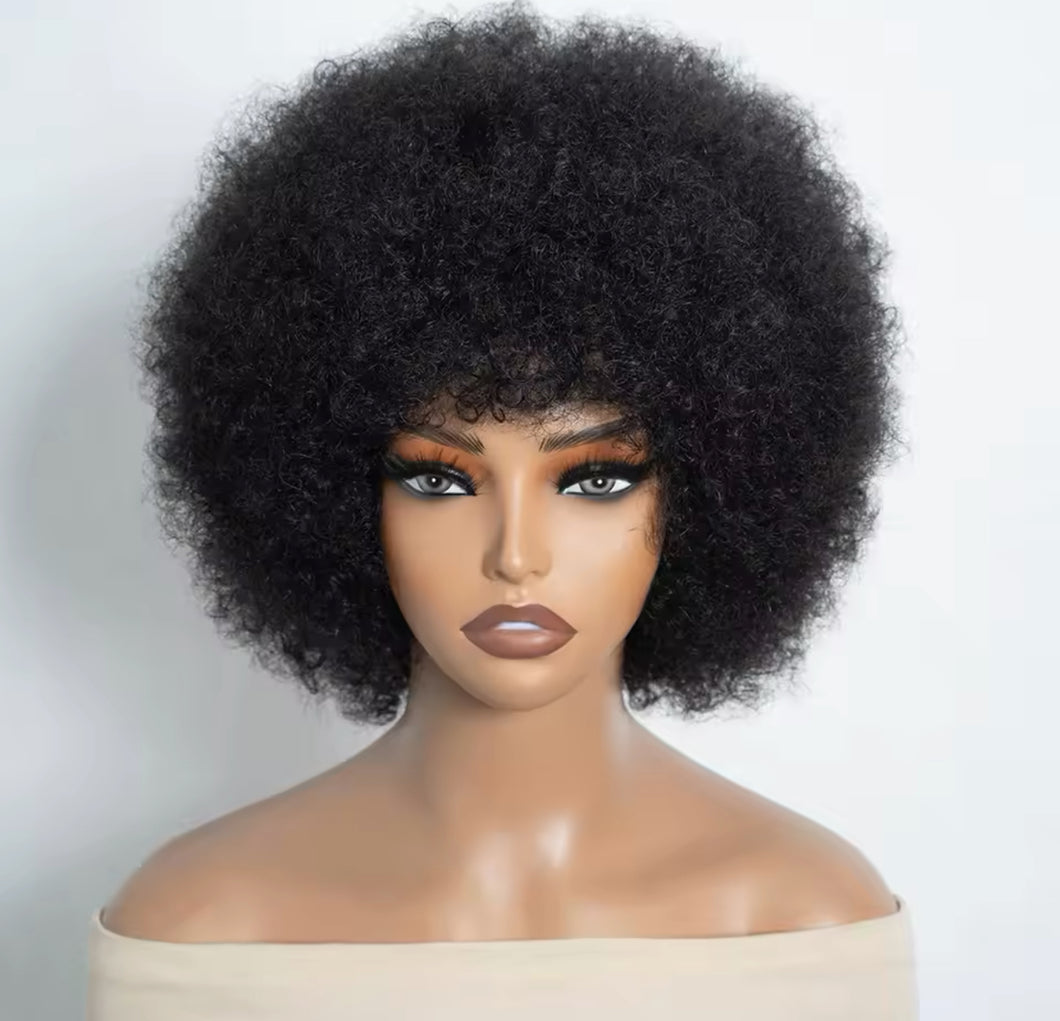 Afro Kinky Curly Wig Human Hair Short Wigs Human Hair 100% Natural  Brazilian Hair Wigs